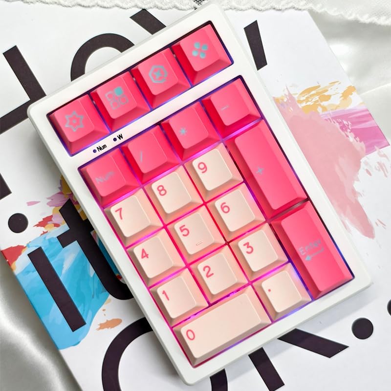 Boyi TD21 Hot Swap Numpad,21 Keys Mini Numpad Portable Keypad Bluetooth5.0/2.4G/Wired Number Pad Keyboard PBT Keycaps RGB Backlit Type-C Mini Keyboard (Pink Cherry Keycaps) - Image 4